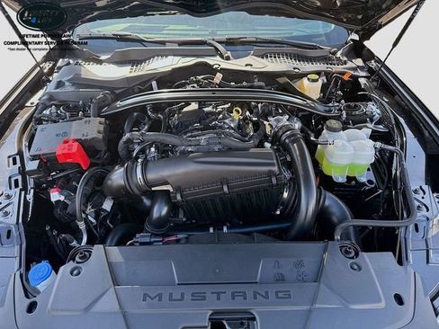 New 2025 Ford Mustang Convertible w/ Mustang Nite Pony Package RWD image 28