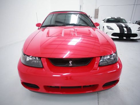 Used 2004 Ford Mustang Cobra RWD image 2