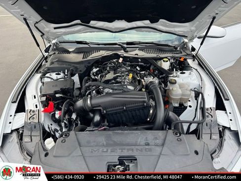 Used 2024 Ford Mustang Premium image 22