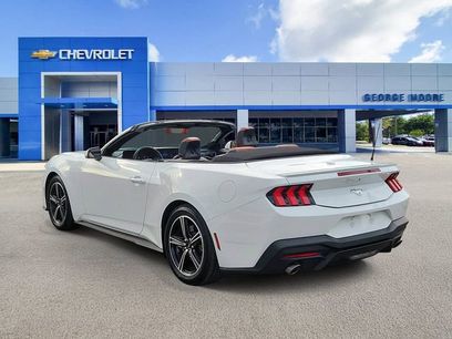 Used 2024 Ford Mustang Premium