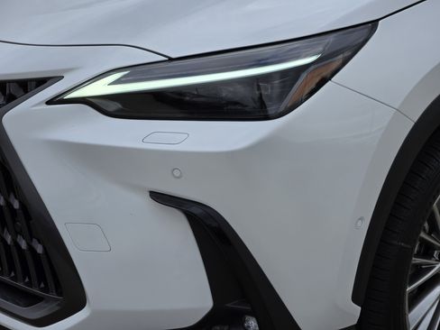 New 2026 Lexus NX 350h 350h Luxury image 5