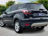 Certified 2017 Ford Escape SE w/ SE Cold Weather Package image 2