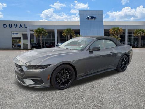 Used 2025 Ford Mustang Convertible w/ Mustang Nite Pony Package image 8