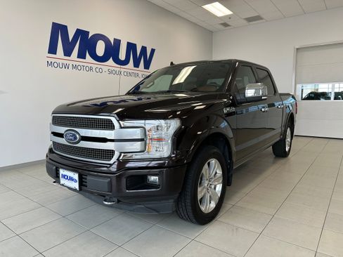 Used 2019 Ford F150 Platinum w/ Equipment Group 701A Luxury AWD/4WD image 2