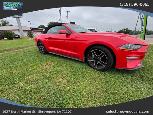 Used 2019 Ford Mustang Premium RWD image 1