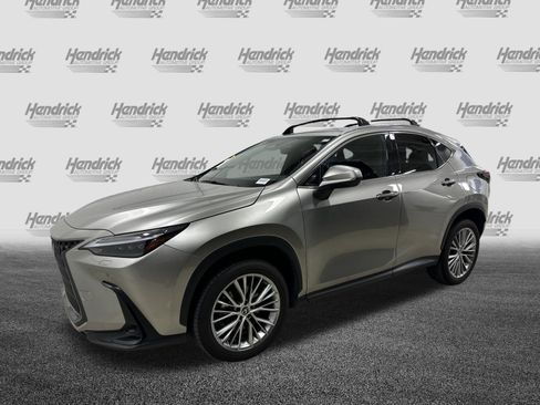 Used 2023 Lexus NX 350 AWD w/ Cold Area Package image 5