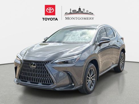 Used 2025 Lexus NX 350h AWD w/ Accessory Package (2T) image 7