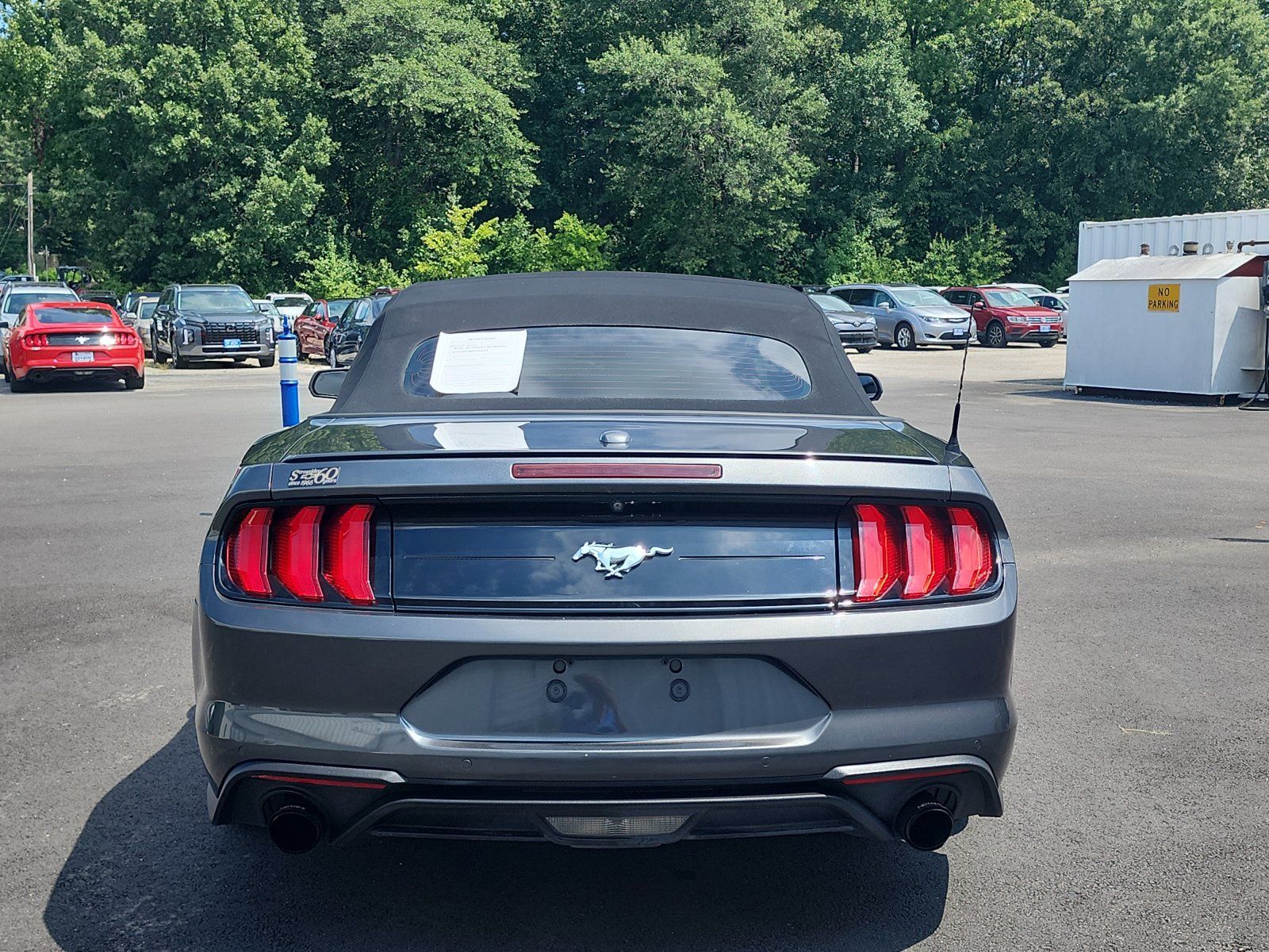 Used 2019 Ford Mustang Premium w/ Equipment Group 201A RWD image 4