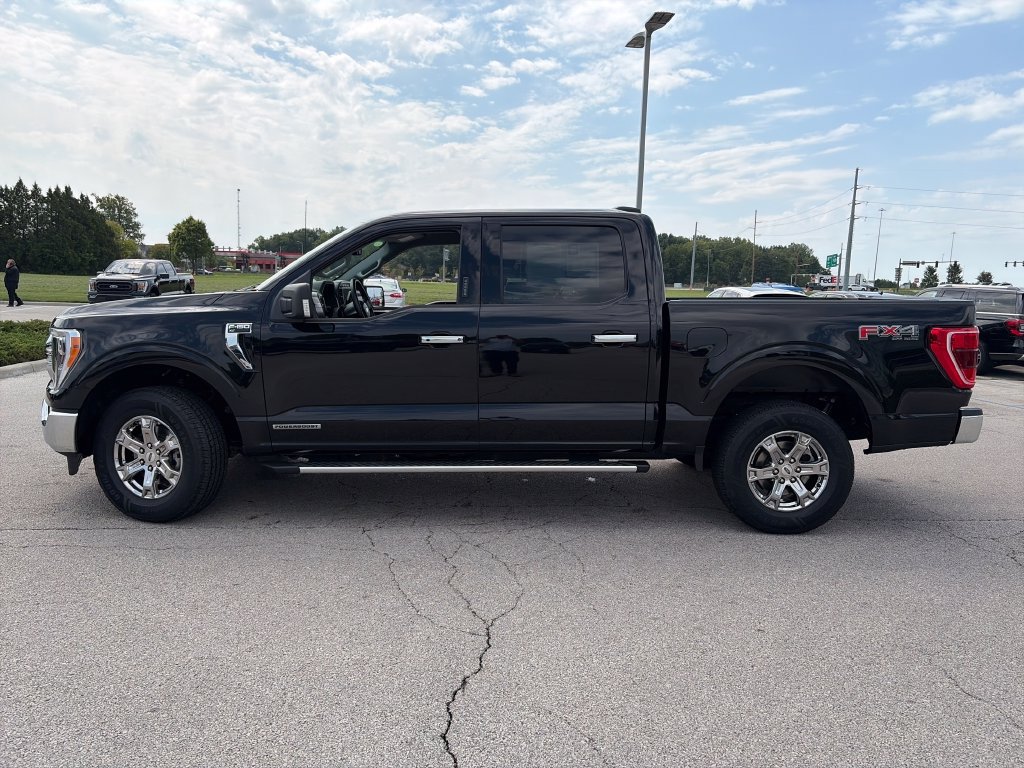 Used 2023 Ford F150 XLT w/ Equipment Group 302A High AWD/4WD image 4