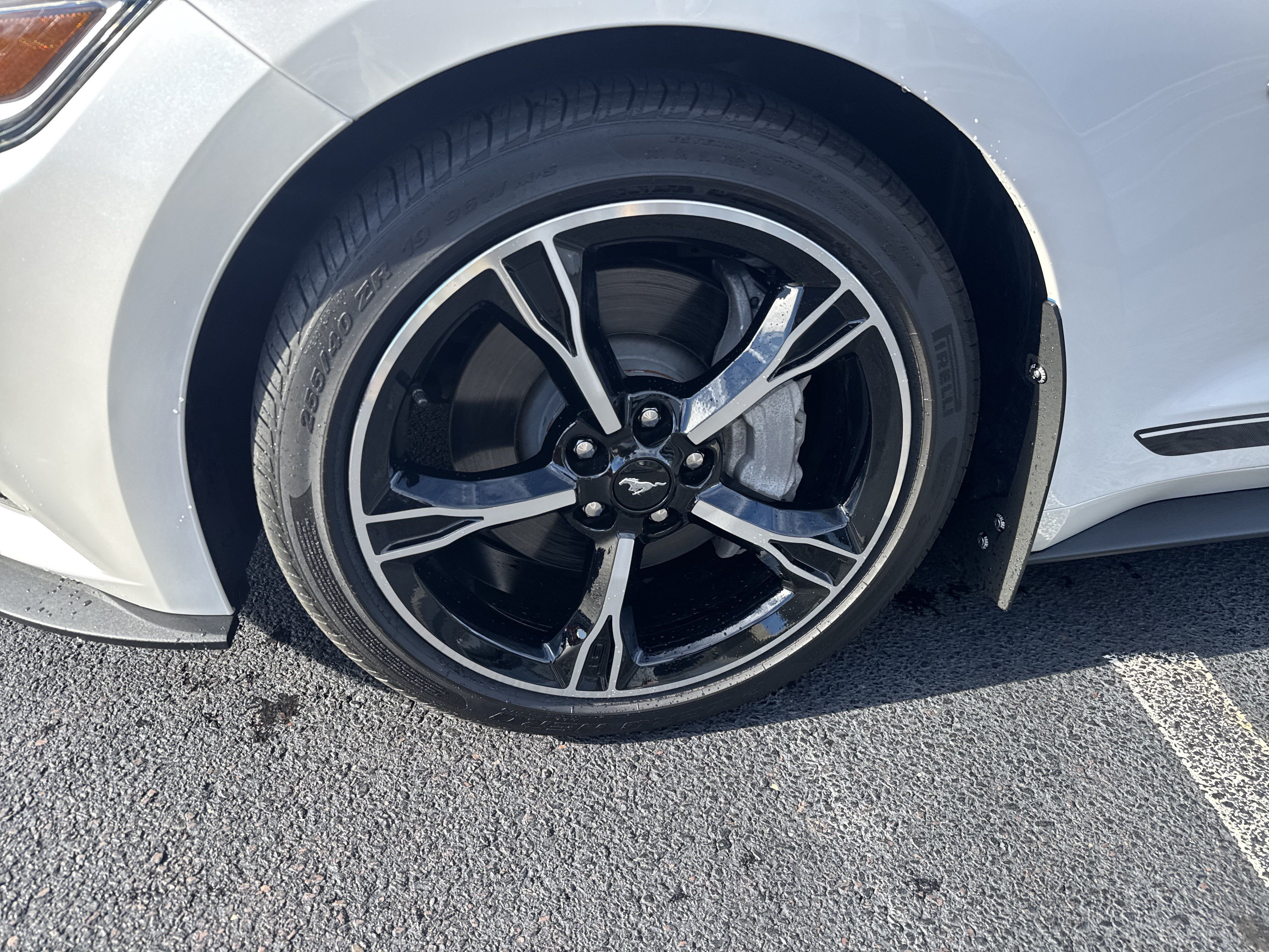 Used 2017 Ford Mustang GT Premium w/ Equipment Group 401A RWD image 11