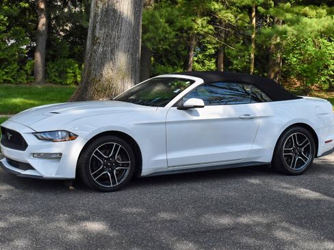 Used 2019 Ford Mustang Premium image 15