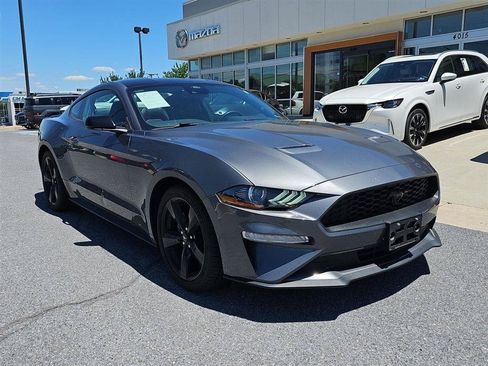 Used 2023 Ford Mustang Premium w/ Mustang Nite Pony Package RWD image 1
