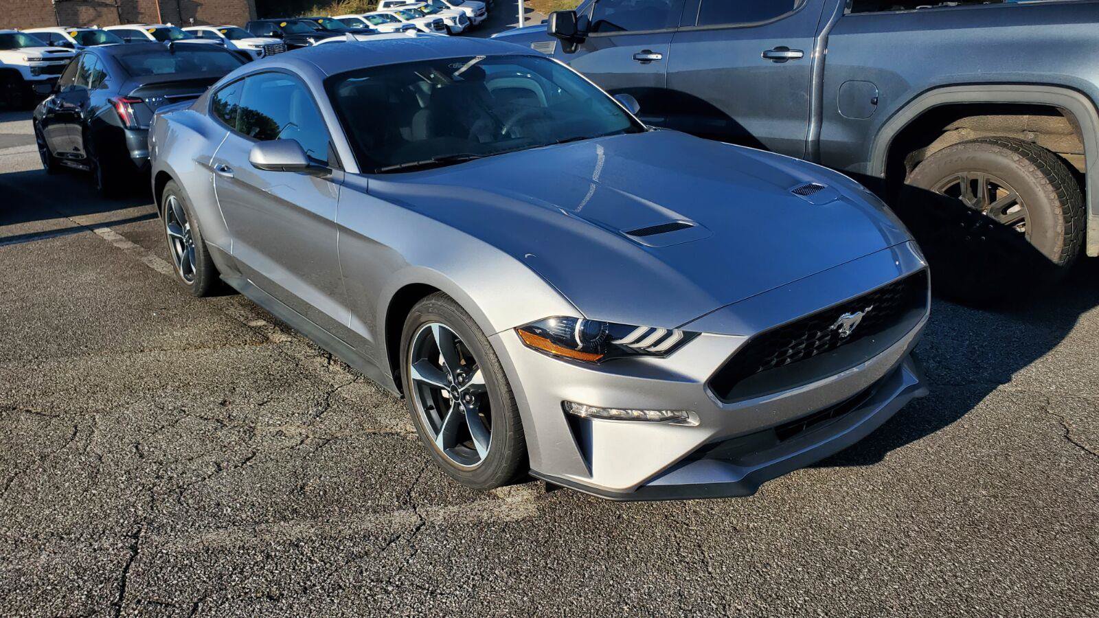 Used 2022 Ford Mustang Coupe w/ Equipment Group 101A RWD image 2