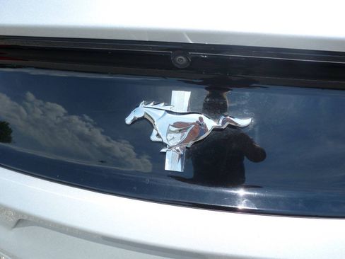 Used 2016 Ford Mustang Coupe w/ Equipment Group 051A RWD image 13