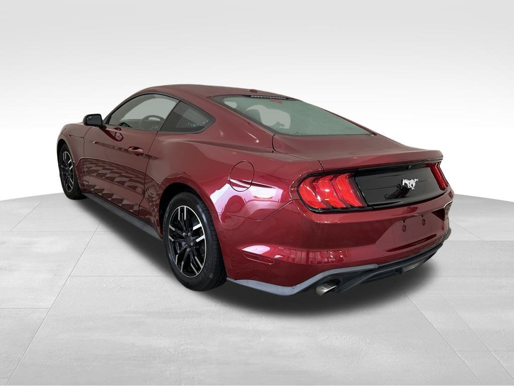 Used 2019 Ford Mustang Coupe RWD image 3