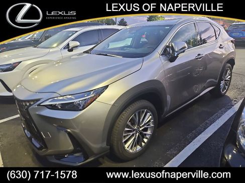 Used 2025 Lexus NX 350h AWD w/ Accessory Package (2T) image 1