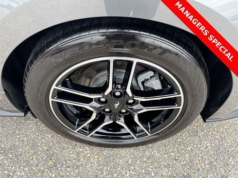 Used 2022 Ford Mustang Premium image 13