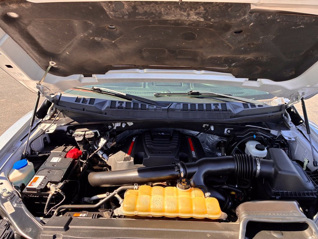 Used 2019 Ford F150 Raptor w/ Equipment Group 802A Luxury AWD/4WD image 10