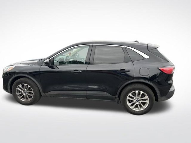 Used 2020 Ford Escape SE AWD/4WD image 7