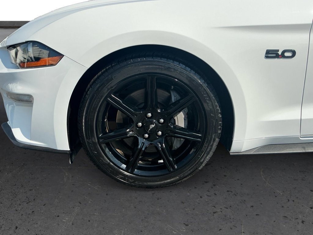 Used 2019 Ford Mustang GT w/ Black Accent Package RWD image 13