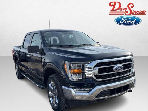 Used 2023 Ford F150 XLT w/ Equipment Group 302A High image 4
