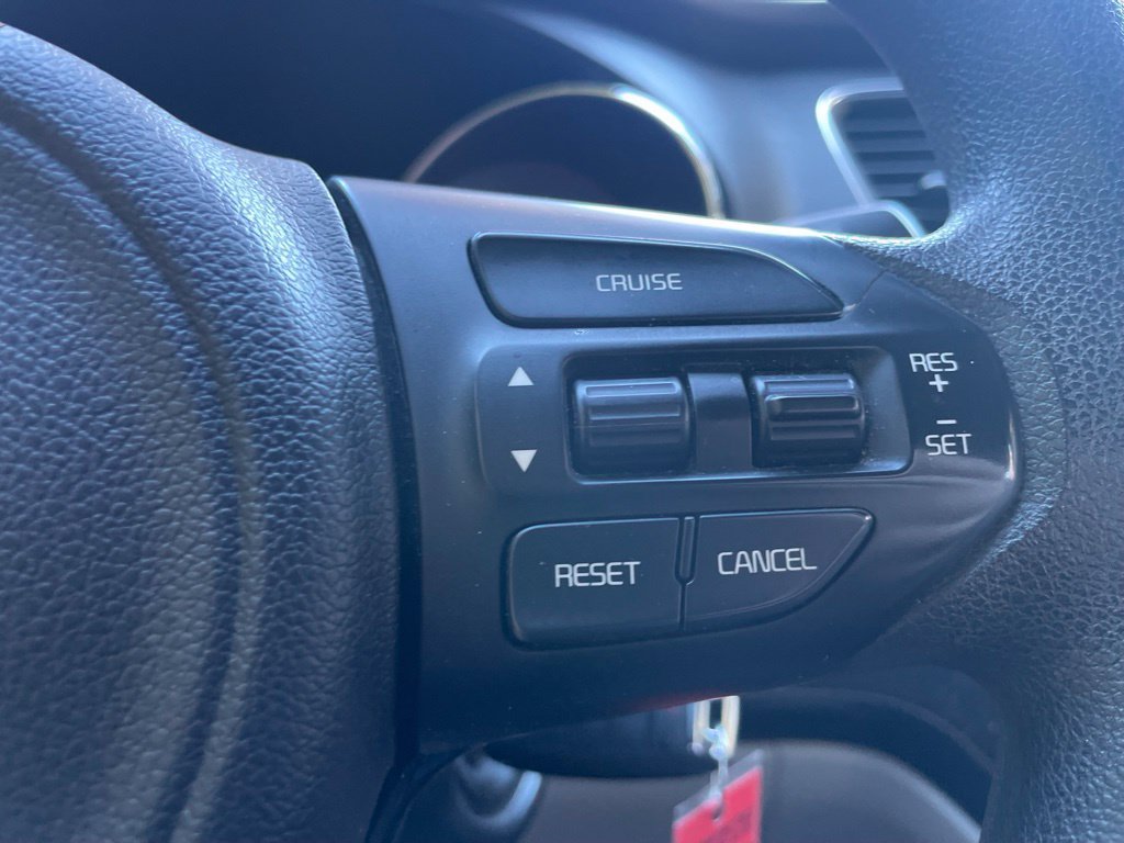 Used 2017 Kia Sedona L FWD image 14