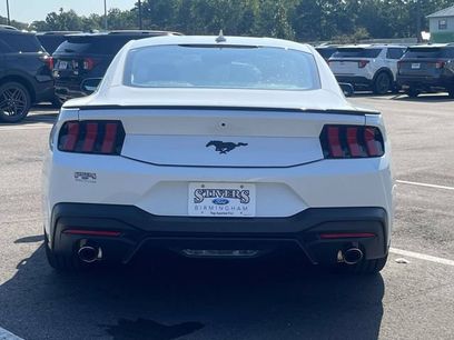 New 2026 Ford Mustang Coupe w/ Mustang Nite Pony Package