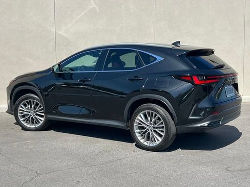Used 2025 Lexus NX 350h AWD w/ Accessory Package (2T) image 6
