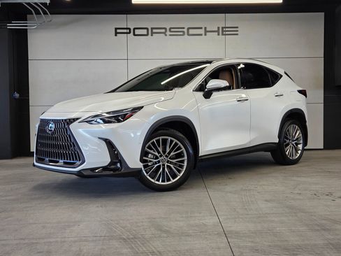 Used 2025 Lexus NX 350h AWD w/ Cold Area Package image 1