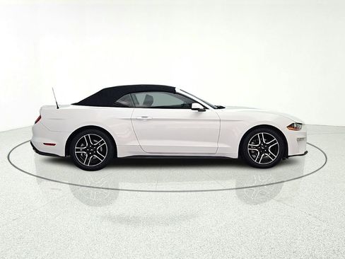 Used 2019 Ford Mustang Premium RWD image 8