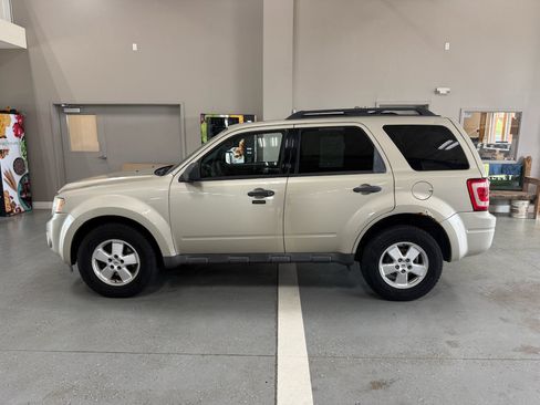 Used 2010 Ford Escape XLT AWD/4WD image 1