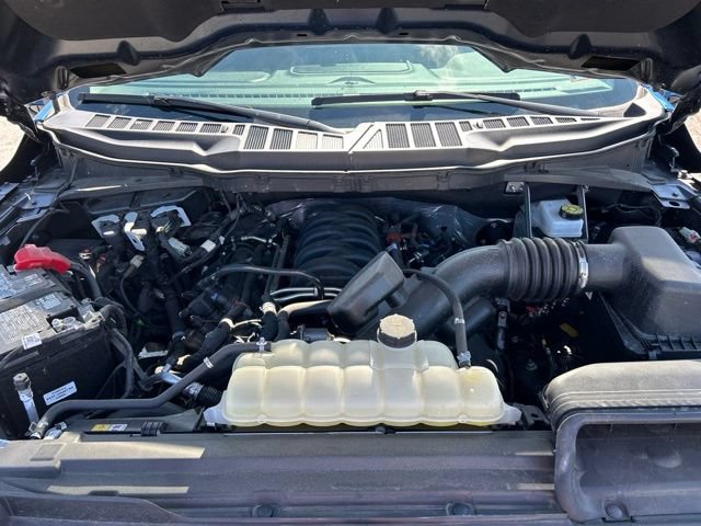 Used 2025 Ford F150 XLT w/ Equipment Group 301A Standard AWD/4WD image 21