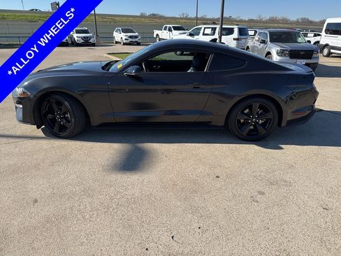 Used 2023 Ford Mustang Premium w/ Equipment Group 201A image 3