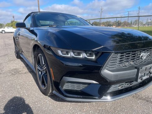 Used 2024 Ford Mustang Premium image 9