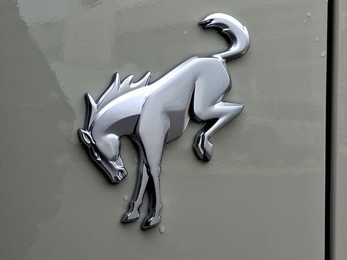 New 2025 Ford Bronco Badlands image 10