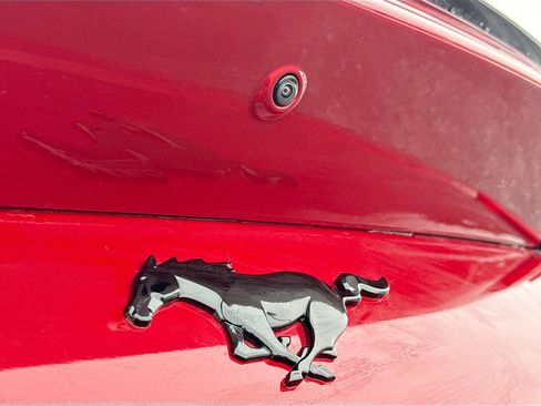Used 2024 Ford Mustang Premium image 12