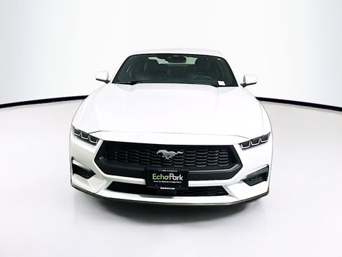 Used 2024 Ford Mustang Premium image 2