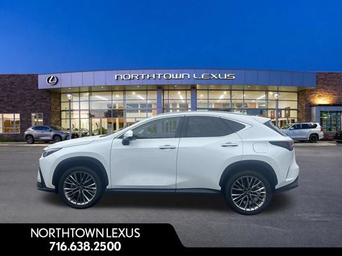 Certified 2026 Lexus NX 350h AWD w/ Cold Area Package image 3