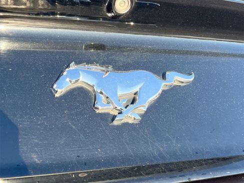 Used 2017 Ford Mustang Coupe image 13