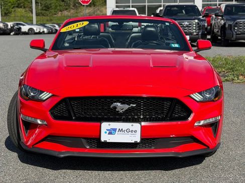 Used 2019 Ford Mustang GT Premium w/ Equipment Group 401A RWD image 2
