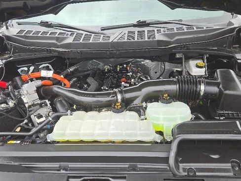 Used 2025 Ford F150 XLT w/ Equipment Group 303A High AWD/4WD image 7