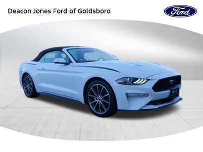Used 2019 Ford Mustang Premium w/ Equipment Group 201A