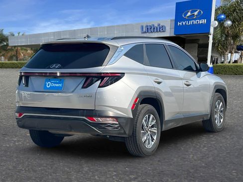 Used 2023 Hyundai Tucson Blue image 2