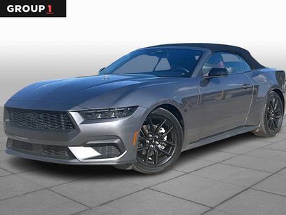 Used 2024 Ford Mustang Premium w/ Mustang Nite Pony Package