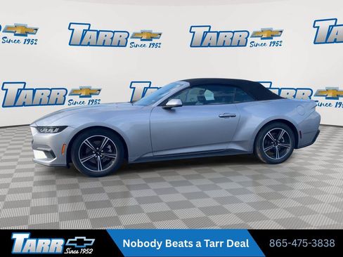 Used 2025 Ford Mustang Premium RWD image 5