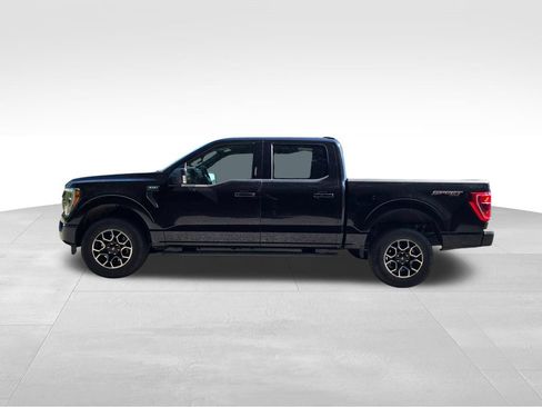 Used 2023 Ford F150 XLT w/ Equipment Group 302A High AWD/4WD image 15