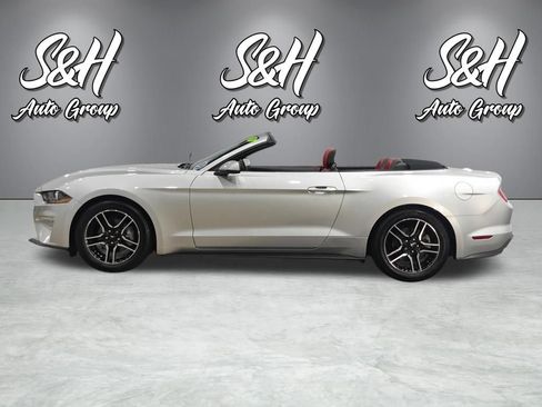 Used 2019 Ford Mustang Premium w/ Equipment Group 201A RWD image 17