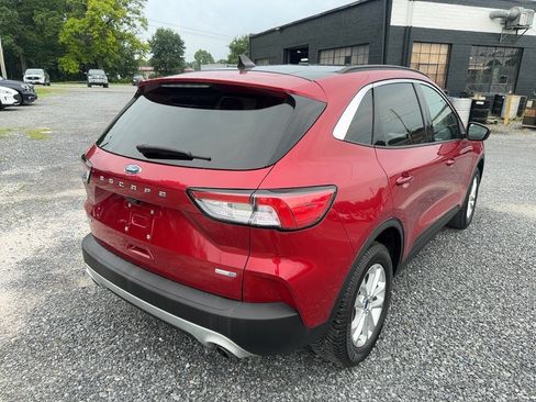 Used 2020 Ford Escape SE AWD/4WD image 5