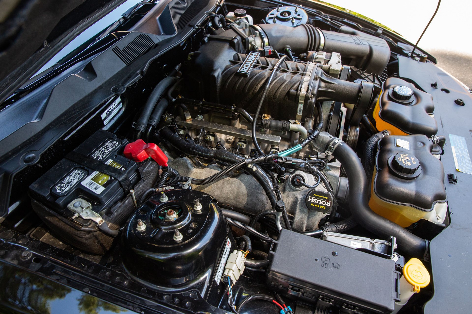 Used 2010 Ford Mustang GT RWD image 51