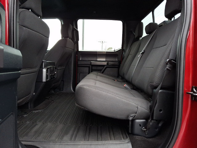 Used 2019 Ford F150 XLT w/ Equipment Group 302A Luxury AWD/4WD image 13